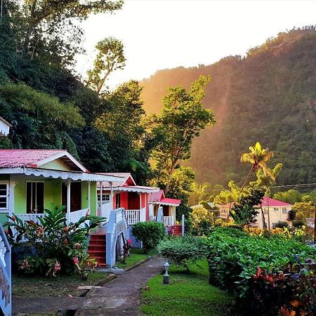 Chez Ophelia Cottage Apartments Roseau Bagian luar foto