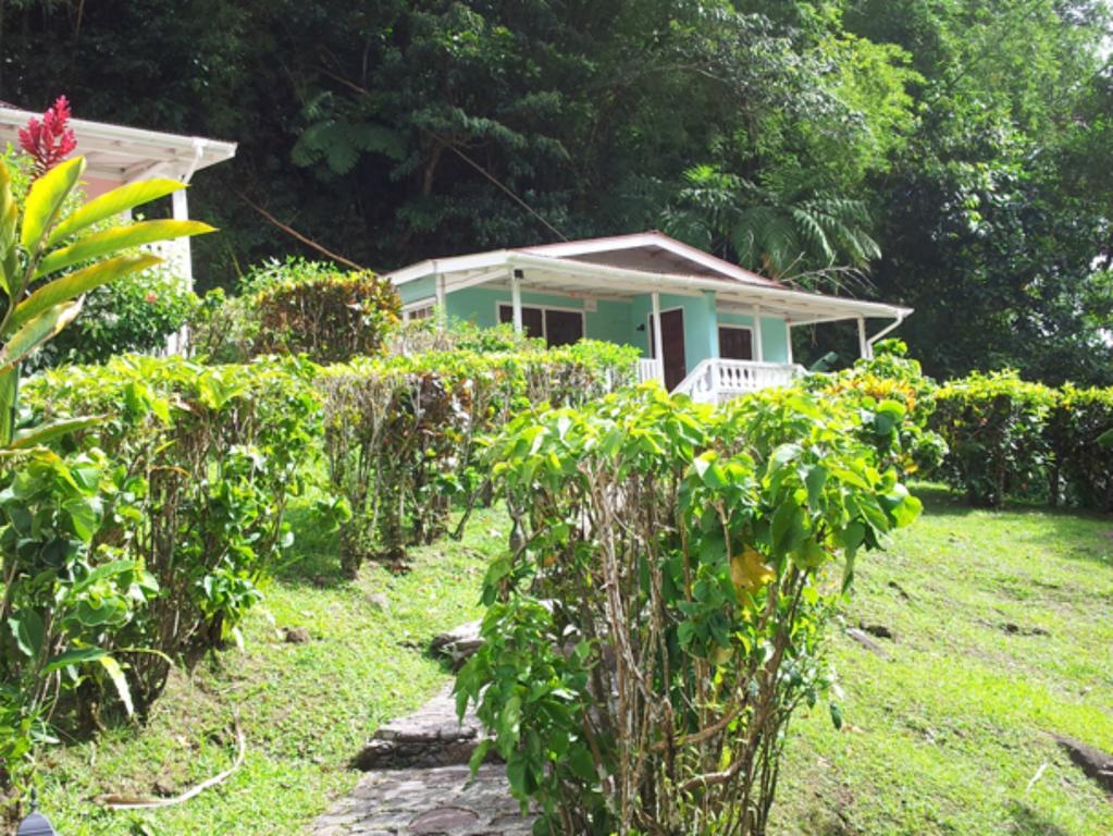 Chez Ophelia Cottage Apartments Roseau Ruang foto