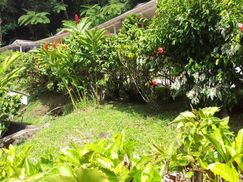 Chez Ophelia Cottage Apartments Roseau Ruang foto