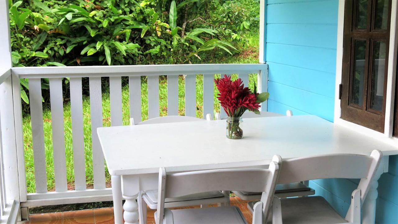 Chez Ophelia Cottage Apartments Roseau Bagian luar foto